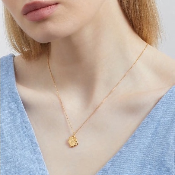 ALIGHIERI 24K Gold 'The Alchemist' Necklace - Picture 7 of 12